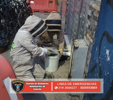 PLANTILLA MEMBRETE REDES - 3